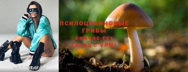 apvp Покров