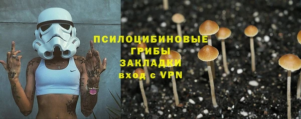 apvp Покров